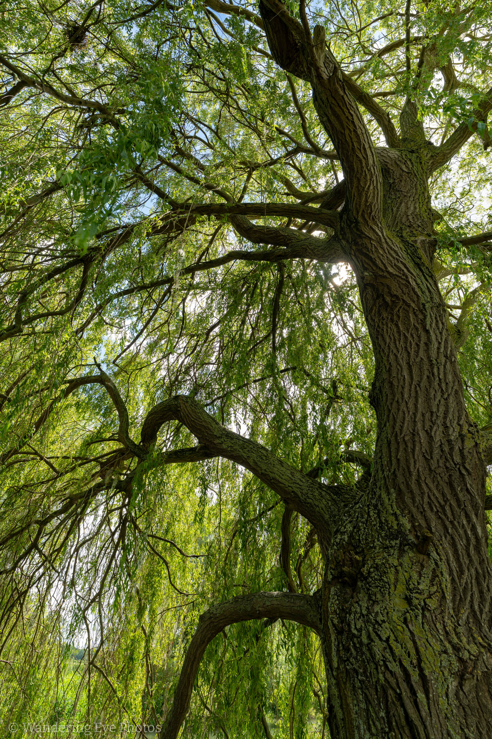 06.19 14.03.10   DSC07957